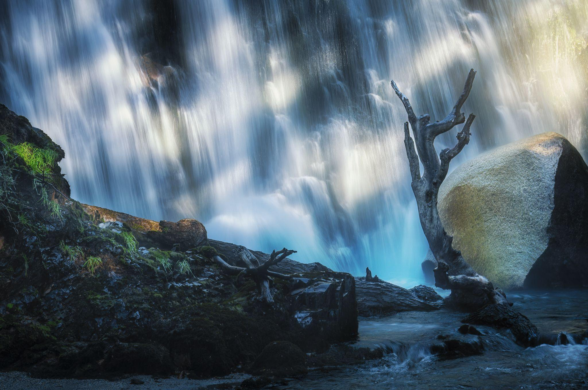 Agua en movimiento entre roca, árbol y bosque