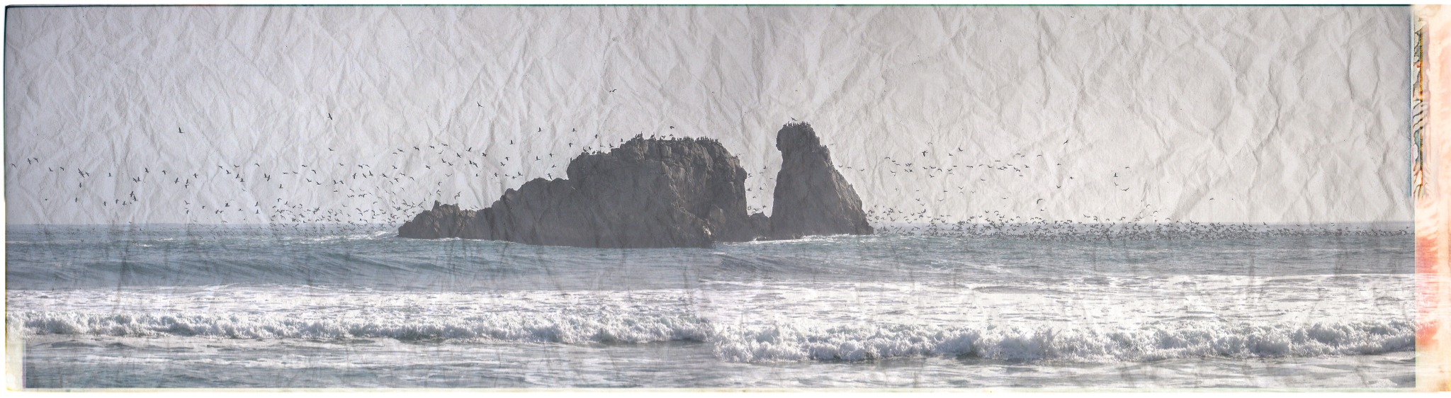Roqueríos y aves frente al mar en Pichilemu
